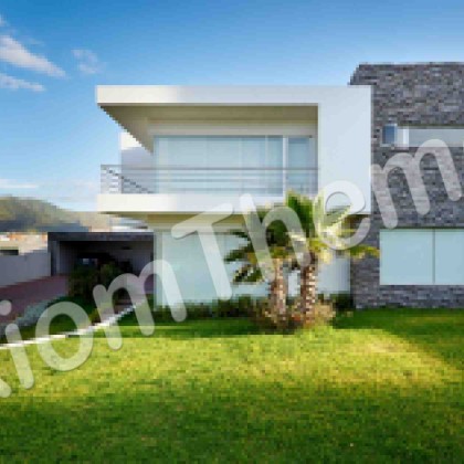 To Buy or Not To Buy